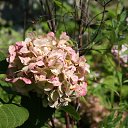 ���� ����, ������, 38 ��� - ��������� 28 ���� 2010 � ������ �������