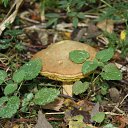 ���� �������, ������ - ��������� 27 �������� 2010 � ������ �������� ���� :)))�