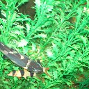 ���� ����, ������ - ��������� 22 ������� 2012 � ������ ���� ��������� �� ���������� �����!!!�