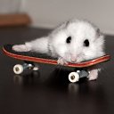 ���� *Heart*, ���� - ��������� 31 ���� 2013 � ������ ���� ����������