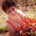 ���� �����, ������� - ��������� 31 ���� 2013 � ������ ���� ����������