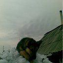 ���� Veter, ����������� - ��������� 26 ����� 2012