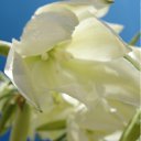  , , 50  -  1  2012   2012