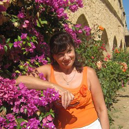 �������, �������, 67 ���