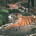 ���� ������, ������, 37 ��� - ��������� 19 �������� 2011