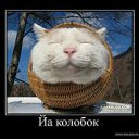 ���� ~����~, ������������, 24 ���� - ��������� 27 ������� 2011 � ������ ������� ���)))�