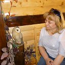 ���� ����, ������� - ��������� 7 ���� 2013 � ������ ���� ����������