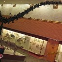 ���� �����, ������, 47 ��� - ��������� 1 ������ 2013 � ������ ���� ����������