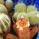 ���� ������, ������, 69 ��� - ��������� 5 ������ 2013 � ������ ���� ��������� ����������