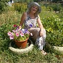 ���� ���������, ������ - ��������� 7 �������� 2012 � ������ ���� ����������