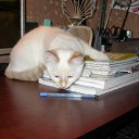 ���� Lenne, ������, 35 ��� - ��������� 14 ����� 2010 � ������ ������ =)�