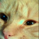 ���� ����, ���������, 22 ���� - ��������� 25 ������� 2012 � ������ ���� ����������