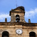 ���� �����, �����, 38 ��� - ��������� 3 ������� 2011 � ������ ������������