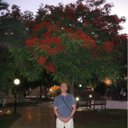 ���� �������, ������, 59 ��� - ��������� 29 ������ 2011