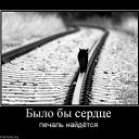���� �����, ������, 48 ��� - ��������� 23 �������� 2010