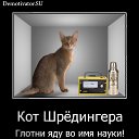 ���� ���������, ������������� - ��������� 16 ������ 2012 � ������ ��������