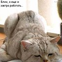 ���� ���������, ���������, 47 ��� - ��������� 29 ���� 2010 � ������ �������