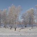 ���� ���� ��������, �������, 62 ���� - ��������� 8 ������ 2013 � ������ ���� ����������