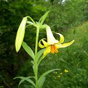 ���� ������, ���������, 36 ��� - ��������� 10 ���� 2013 � ������ �������� ����� �����