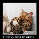 ���� ���������, ������, 35 ��� - ��������� 28 �������� 2010