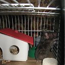 ���� (=����������=), ������, 31 ��� - ��������� 9 ������ 2012 � ������ �������(����) ��� ���� R.I.P.�