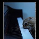 ���� ������, ����������, 49 ��� - ��������� 15 ��� 2013 � ������ ���� ����������