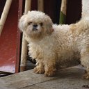 ���� ���������, ������, 47 ��� - ��������� 26 ����� 2012