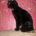 �������� �� ������� ����� ��� ������������