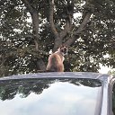 ���� ������ �� ����� �� ������� ���� ����������