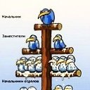 ���� Mu Hammer, ������, 49 ��� - ��������� 24 ����� 2012 � ������ ���� ����������