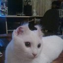 ���� �������, ����������� - ��������� 8 ������� 2013 � ������ ���� ����������