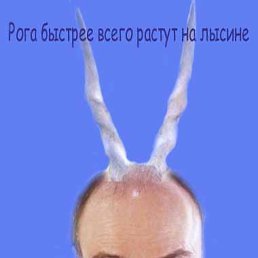 ���� �������, ����-���������, 34 ���� - ��������� 18 ������� 2012