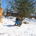 ���� ������, �����-���������, 65 ��� - ��������� 5 ������ 2013 � ������ ���������� ��������