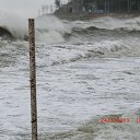 ���� ����, ����, 57 ��� - ��������� 24 ����� 2013 � ������ ������