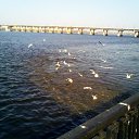 ���� ����(�� �������), ��������������, 62 ���� - ��������� 14 ������� 2011 � ������ ���������������