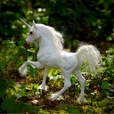 ���� Jeon Davon, ������ - ��������� 30 ��� 2012 � ������ �����������