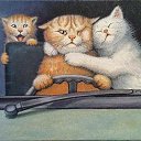 ���� �����, ������, 29 ��� - ��������� 21 ����� 2013