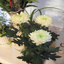 ���� �����, ���������� - ��������� 11 ������� 2013 � ������ ���� ����������