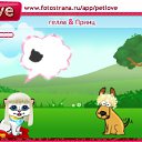   , , 36  -  12  2010   PetLove