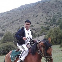 ������, �������, 55 ���