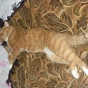 �� ������� �� ������� ����� ��� ������������