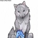 ���� Wolfa, ����, 25 ��� - ��������� 14 ����� 2013 � ������ ���� ����������