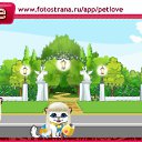 ���� Marader, ������, 39 ��� - ��������� 12 �������� 2010 � ������ �PetLove�