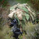 ���� �����, �����-���������, 59 ��� - ��������� 20 ������� 2012 � ������ �������