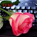 ���� ������, ����, 51 ��� - ��������� 12 ���� 2011 � ������ ������� ���...�