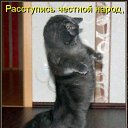 ���� ����, ����������� - ��������� 10 ������� 2010 � ������ ������� ���� �������) ����� 2�