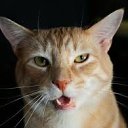 ���� ����, ��������, 50 ��� - ��������� 11 ������ 2011 � ������ ���� ����������