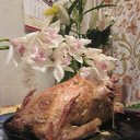 ������� �� ������� ���������� �� ���߻