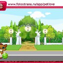  , , 46  -  15  2010   PetLove