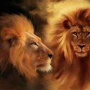 ���� 777, �������, 48 ��� - ��������� 3 ������� 2012